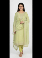 Pistachio Green Embroidered Suit Set | Punjabi Threads