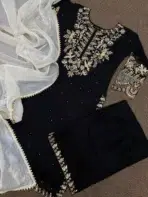 Pakistani Salwar Kameez - Punjabi Threads product image 2