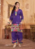 Embroidered Palazzo Suit - Punjabi Threads product image 3
