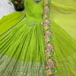 Lime Green Anarkali Dress - Punjabi Threads product image 1