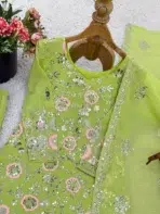 Lime Green Sharara Suit - Punjabi Threads product image 3