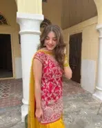 Pink and Yellow Patiala Suit - Punjabi Threads product image 2