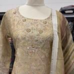 Elegant Beige Embroidered Punjabi Suit - Punjabi Threads product image 1