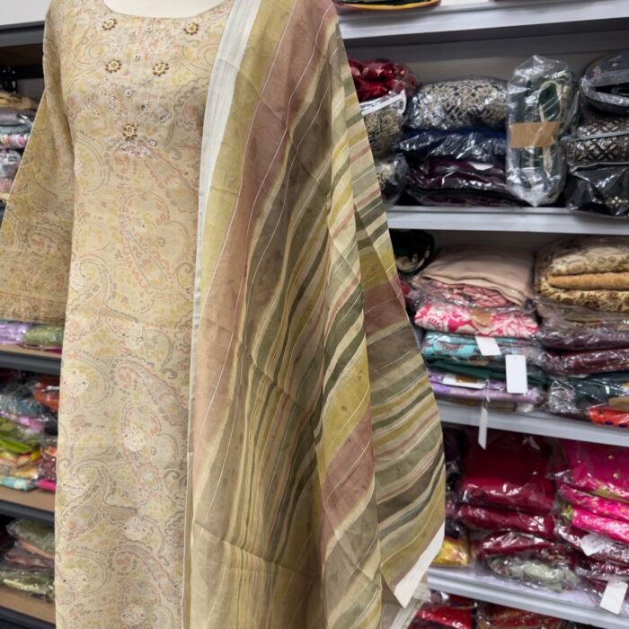 Elegant Beige Embroidered Punjabi Suit - Punjabi Threads product image 2