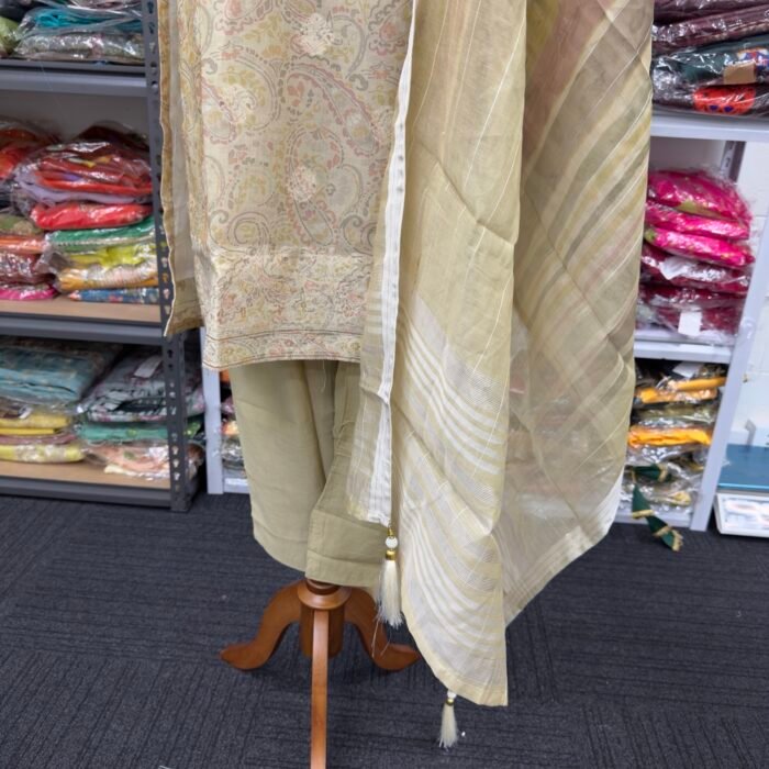 Elegant Beige Embroidered Punjabi Suit - Punjabi Threads product image 3