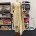 Elegant Beige Embroidered Punjabi Suit - Punjabi Threads product image 4