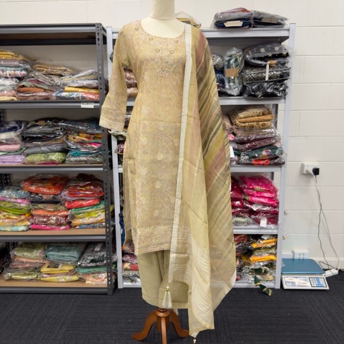 Elegant Beige Embroidered Punjabi Suit - Punjabi Threads product image 4